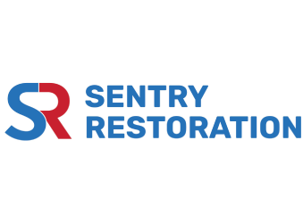 sentry